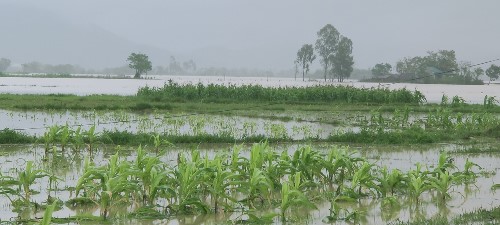 Nam Đàn đối diện với trận lũ lụt lịch sử